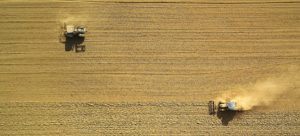sector agrícola, agricultura españa, crisis 2020, coronavirus.
