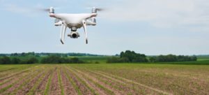 El sector agrícola implanta la digitalización de los cultivos.