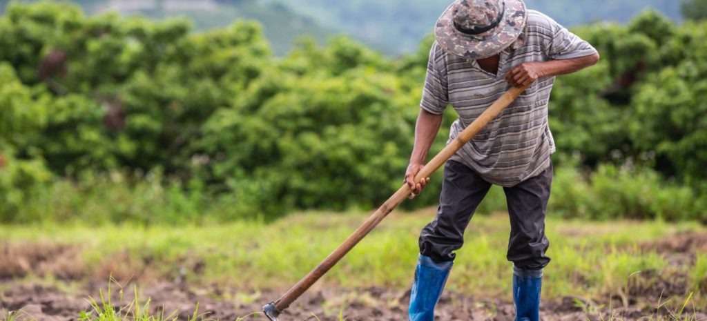 El sector agrícola implanta la digitalización de los cultivos.